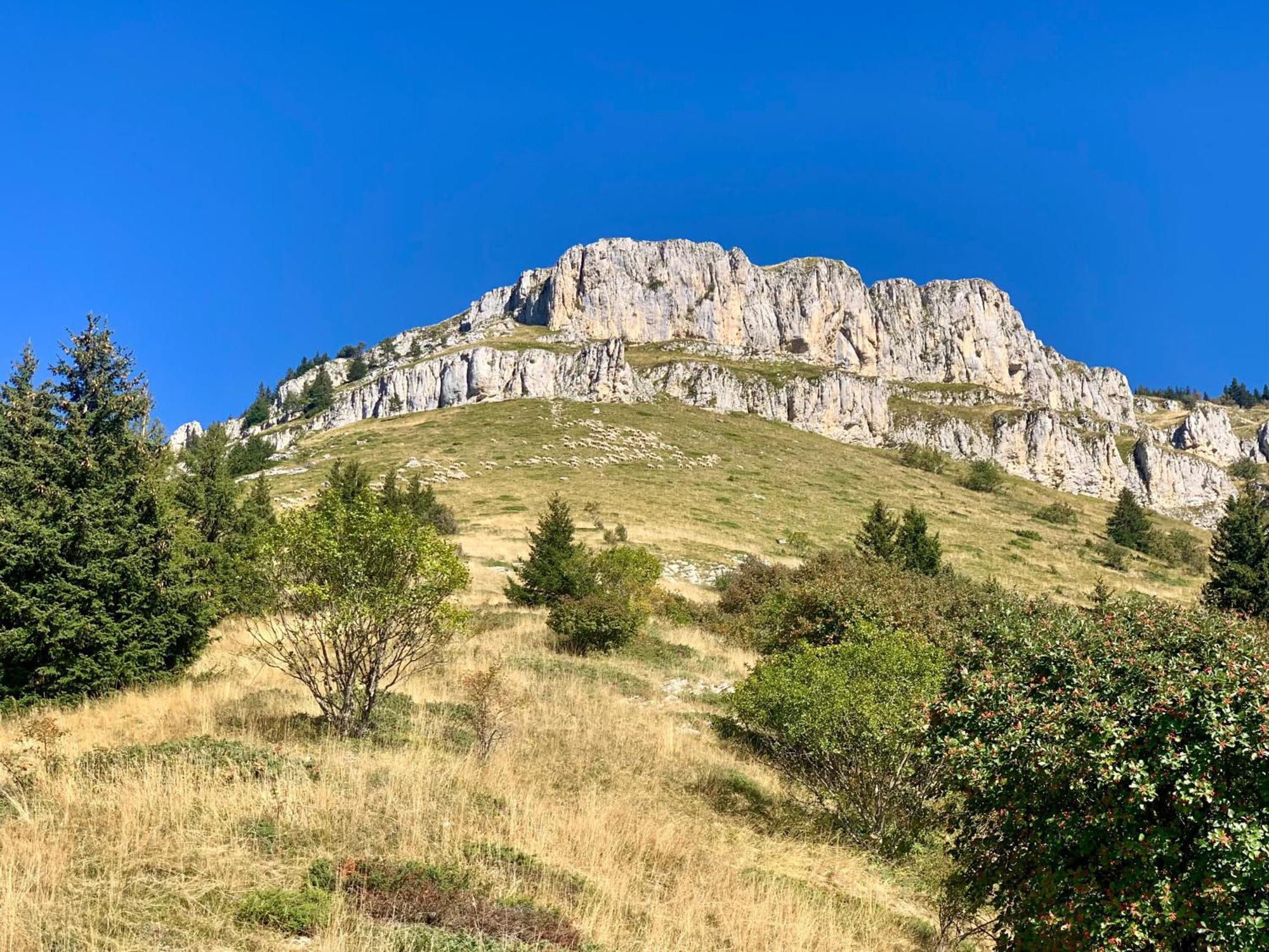 Vercors En Vert , Chambres D'Hotes De Charme Saint-Romans  Екстериор снимка