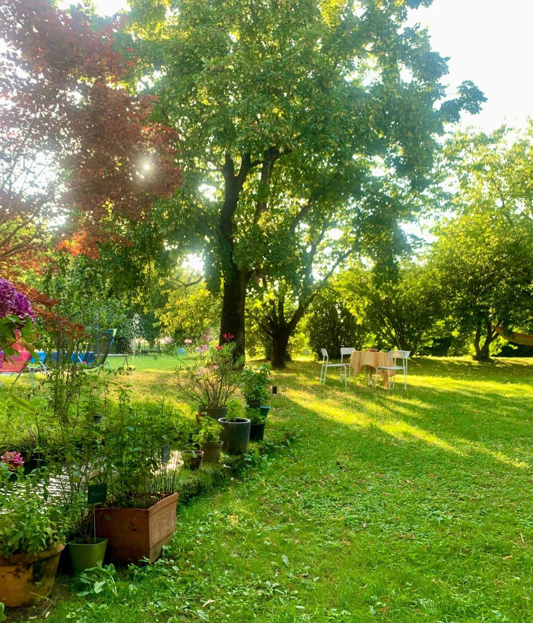 Vercors En Vert , Chambres D'Hotes De Charme Saint-Romans  Екстериор снимка