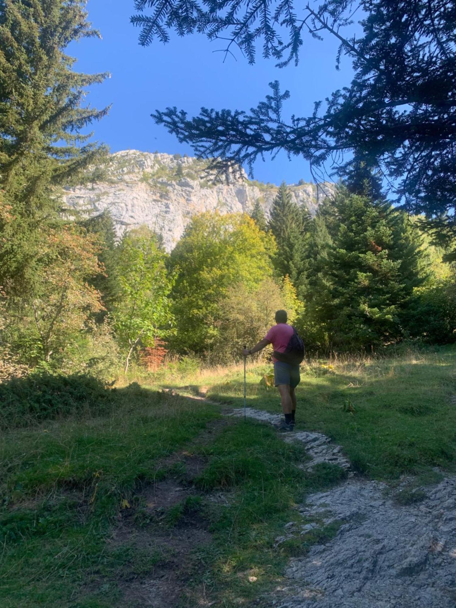Vercors En Vert , Chambres D'Hotes De Charme Saint-Romans  Екстериор снимка